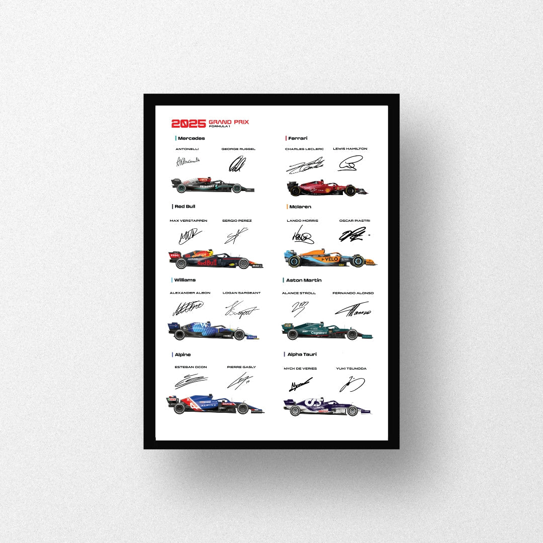 F1 CNS Frame (Wall Decor)